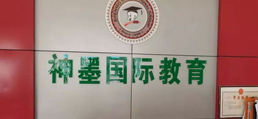 校外培訓(xùn)機(jī)構(gòu)整治工作有喜有憂，文化藝術(shù)交流活動策劃如何助力教育生態(tài)優(yōu)化